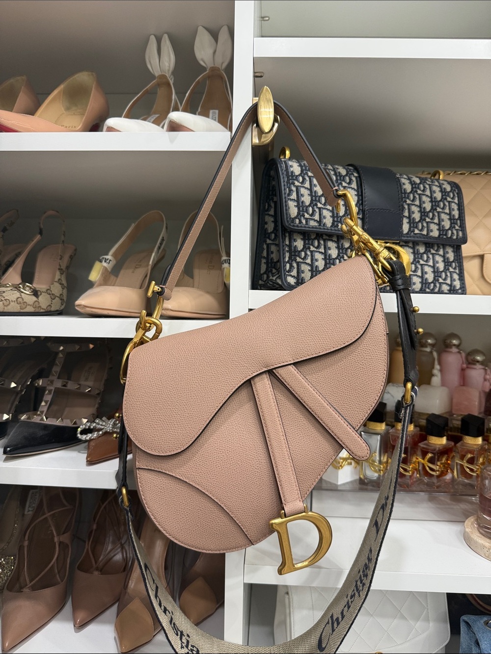 Dior Blush Saddle Bag with Guitar strap - Picture 1 of 9